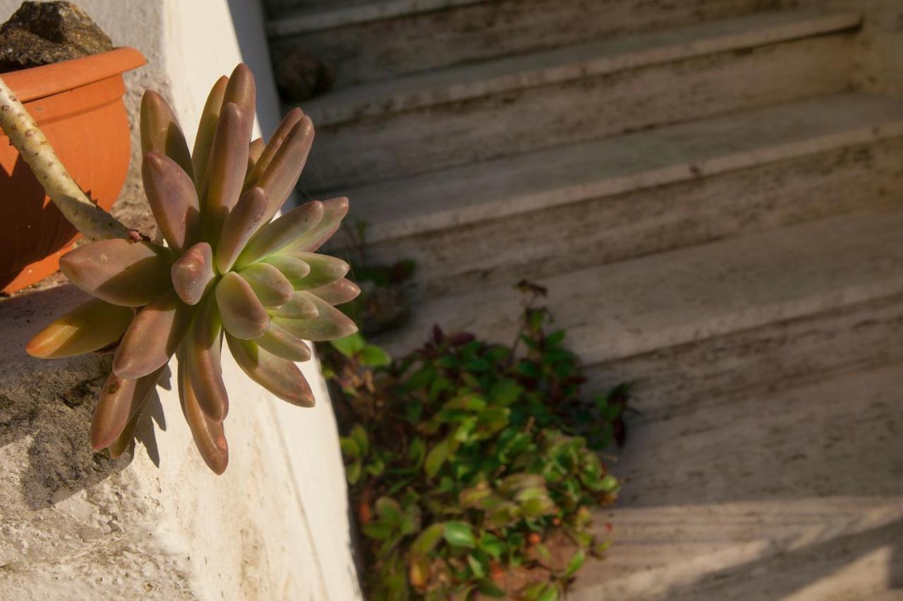 Villino Erminia - Seaside Art B&B Pizzo  Exterior foto