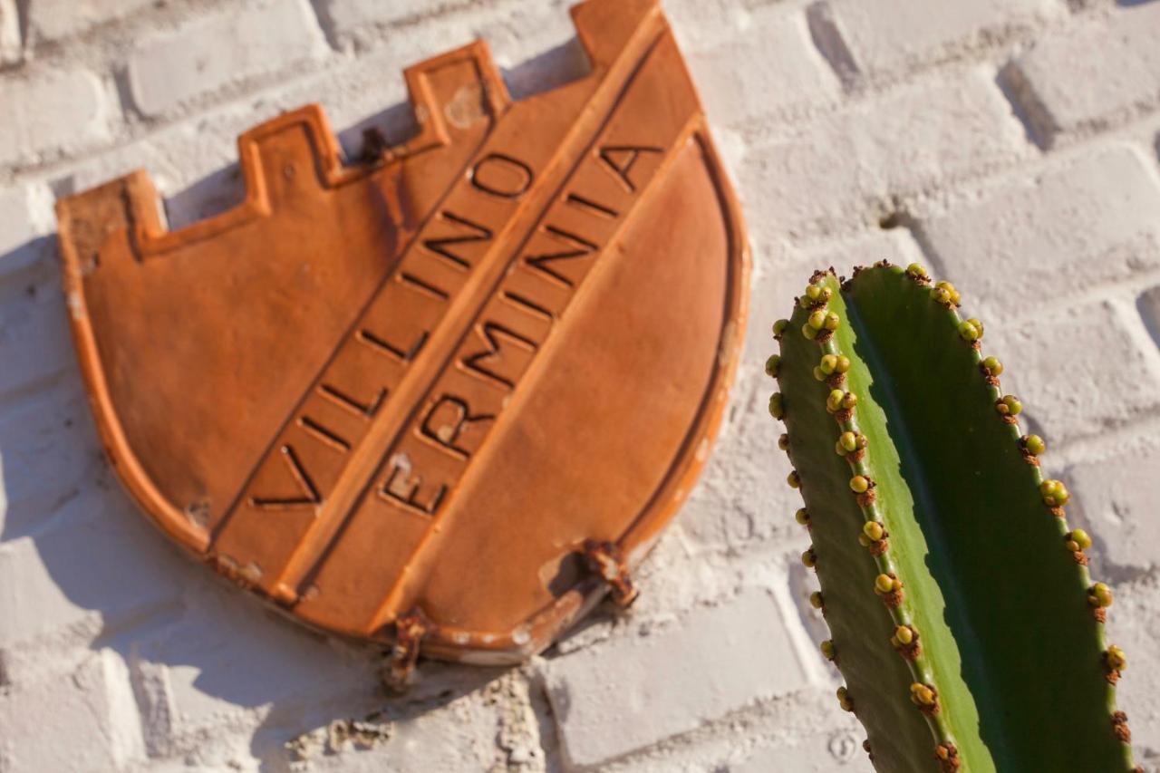 Villino Erminia - Seaside Art B&B Pizzo  Exterior foto